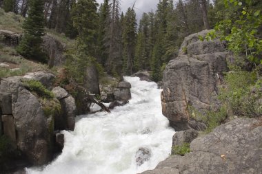 çılgın creek - wyoming