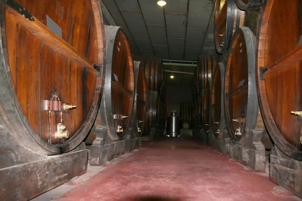 Argentina Wine — Stock Photo, Image