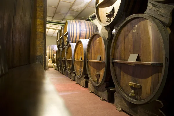 アルゼンチンのワイン貯蔵室 — ストック写真