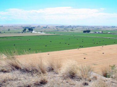 Farming in Montana clipart