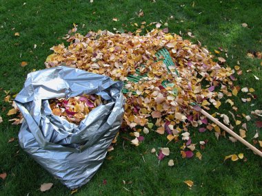 Autumn - Bag of Leaves clipart