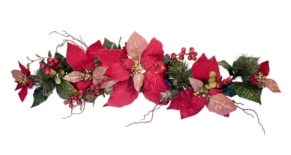 stock image Christmas Decoration - Poinsettia