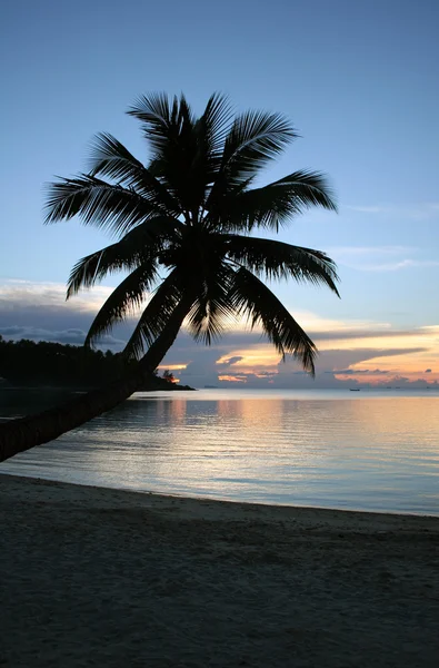 -純度のビーチの夕日 — ストック写真