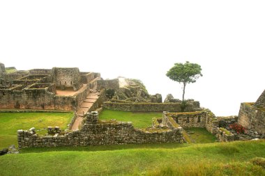 Maço Picchu 'nun antik kalıntıları, Peru