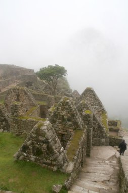 Maço Picchu 'nun antik kalıntıları, Peru