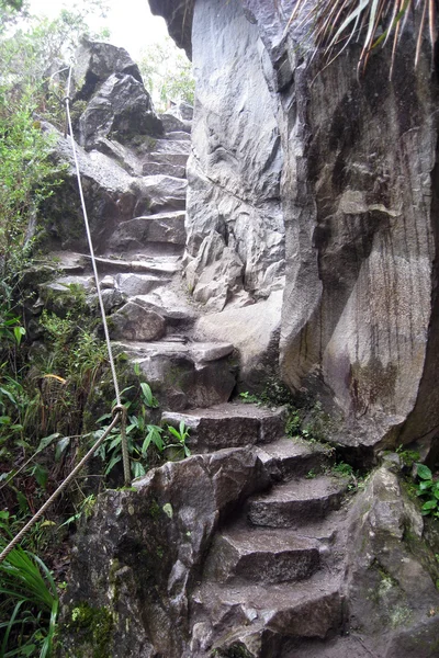 Αρχαία ερείπια του Χουάινα Πίτσου — Φωτογραφία Αρχείου