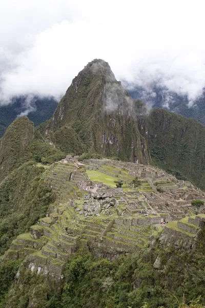 Ancient ruins of Machu Picchu, Peru — Stock Photo, Image