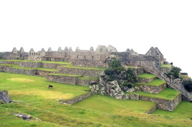 Maço Picchu 'nun antik kalıntıları, Peru