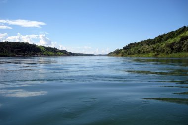 Iguazu River, Argentina clipart