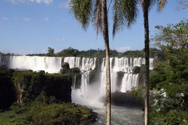 Arjantin'in Iguazu Falls