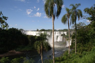 Arjantin'in Iguazu Falls