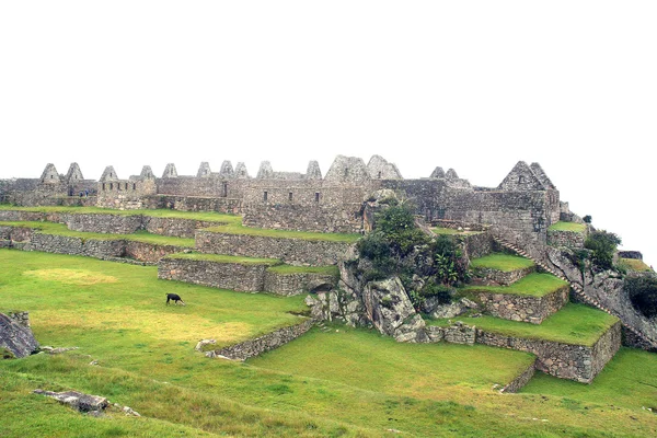 Starożytne ruiny machu picchu, peru — Zdjęcie stockowe