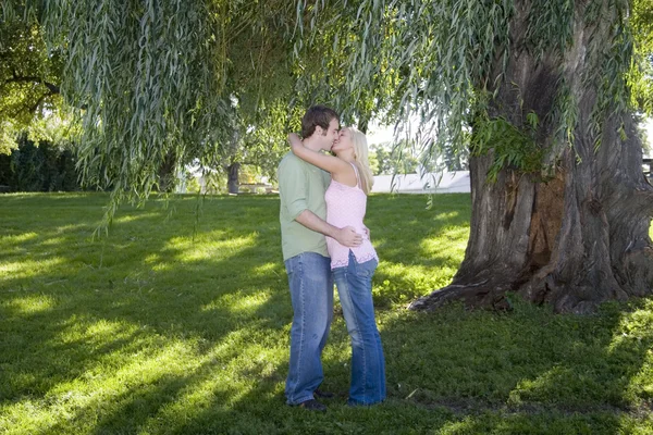 接吻树 — 图库照片