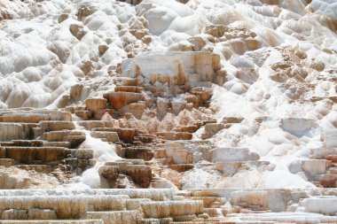 Gayzer mamut hot Springs.