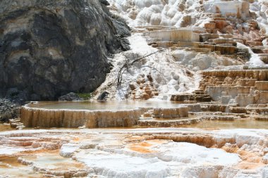 Gayzer mamut hot Springs.