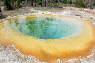 Hot Springs at Yellowstone clipart