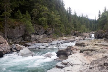 McDonald Creek Buzul Ulusal Parkı 'nda