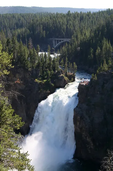 Yellowstone National Park Waterfall — Stock Photo, Image