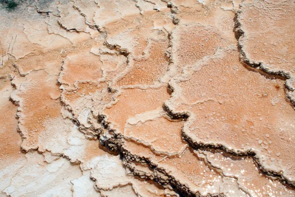 Geyser alle sorgenti termali di Mammoth — Foto Stock