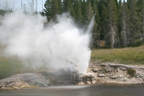Geyser ativo em Yellowstone — Fotografia de Stock