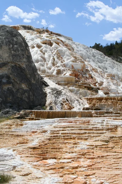 Geyser alle sorgenti termali di Mammoth . — Foto Stock