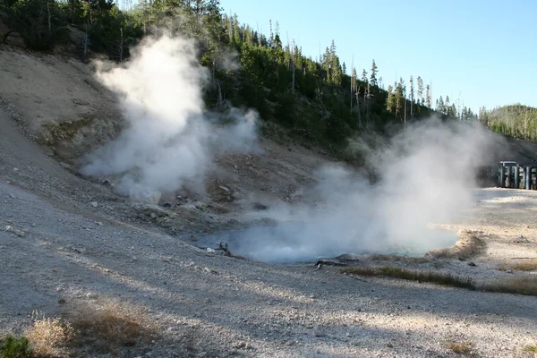 Gejzer w Parku Narodowym Yellowstone — Zdjęcie stockowe