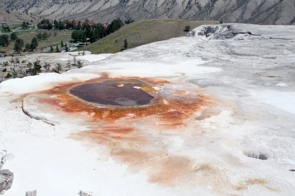 Sorgenti termali a Yellowstone — Foto Stock