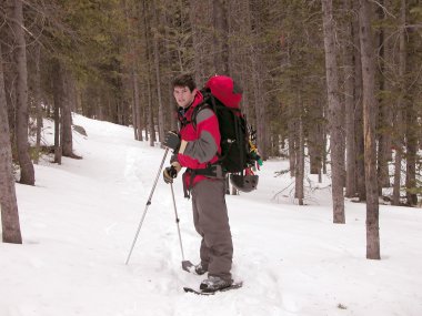 Snowshoeing - Montana clipart