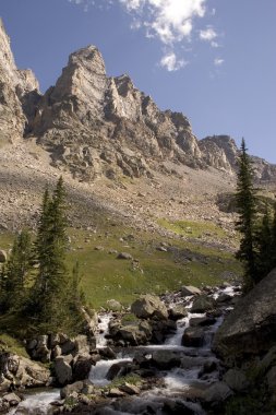 Montana Wilderness clipart