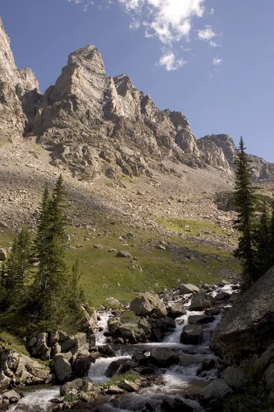 Montana Wilderness — Stockfoto