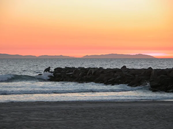 Catalina szigetén naplemente - california — Stock Fotó