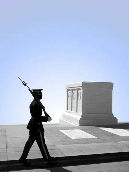 Túmulo do Soldado Desconhecido, Arlington National — Fotografia de Stock