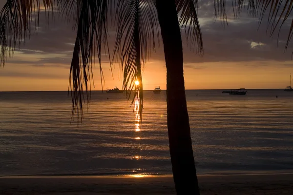 Karayip günbatımı — Stok fotoğraf