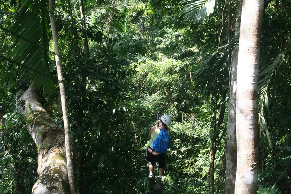Passeio Canopy Jamaica — Fotografia de Stock