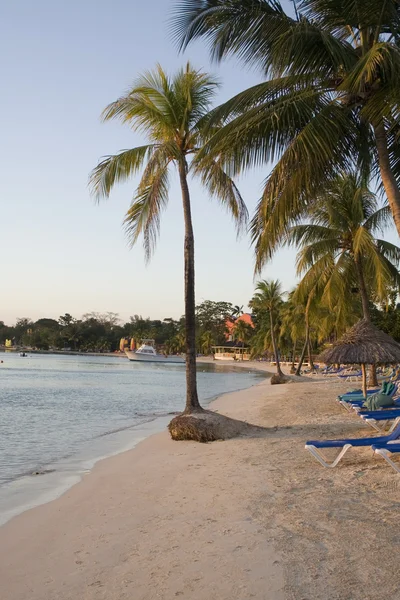 Jamajskiej plaży — Zdjęcie stockowe