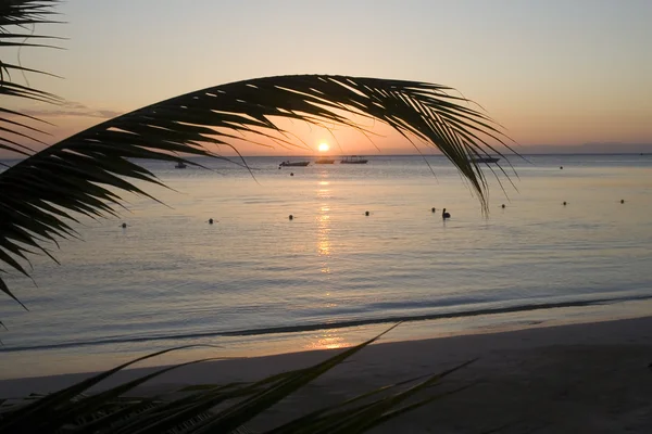 Jamajski zachód słońca — Zdjęcie stockowe