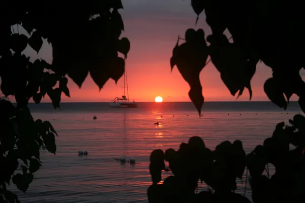 Pôr do sol jamaicano — Fotografia de Stock