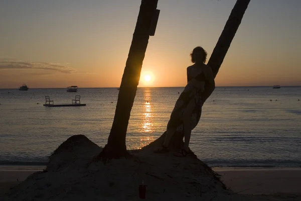 Jamaikanischer Sonnenuntergang lizenzfreie Stockfotos