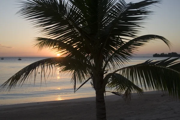 Jamaikanischer Sonnenuntergang Stockbild