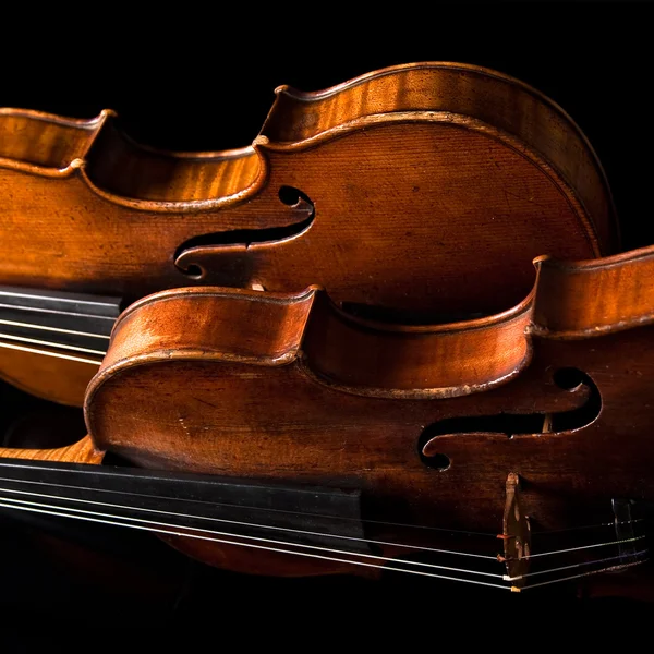 Beautiful old violin — Stock Photo, Image