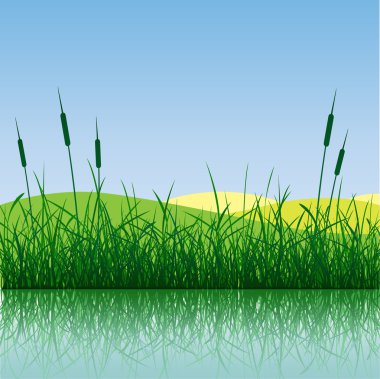 Grass clipart