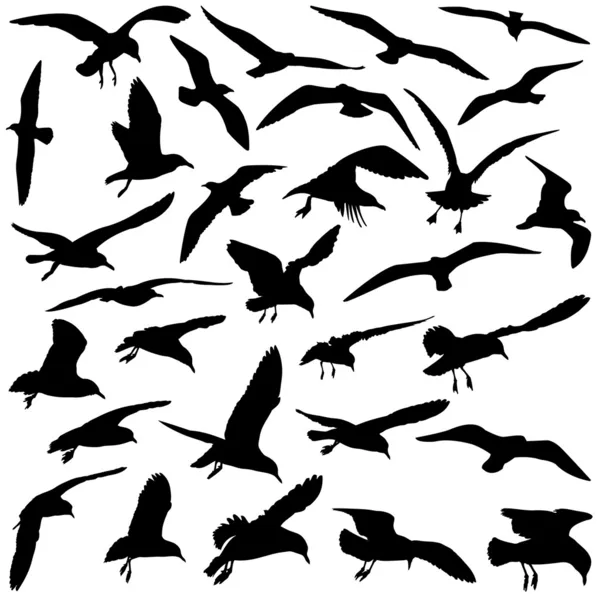 Стоковые векторные изображения по запросу Полет птиц