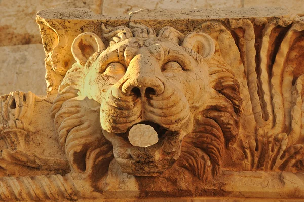 stock image Stone lion head