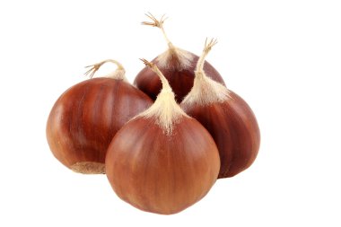 Chestnuts clipart