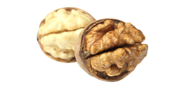 Two walnut nuts — Stock Photo, Image