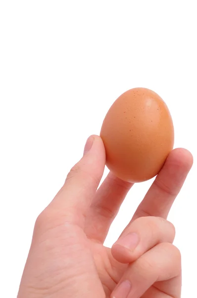 Яйце круто — стокове фото
