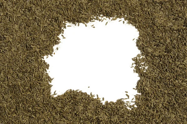 Kimyon tohumu ile bir yazı defteri — Stok fotoğraf