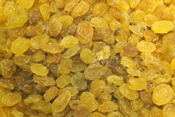 stock image White or golden raisins