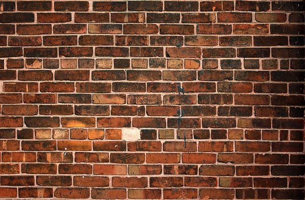 Stock image Old brick wall