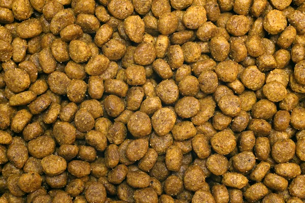 Dry dog food Royalty Free Stock Images